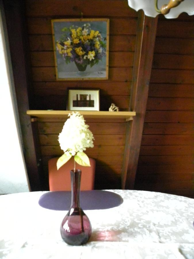 Ferienhaus Sommerland Auszeithuette Freyung Exteriér fotografie